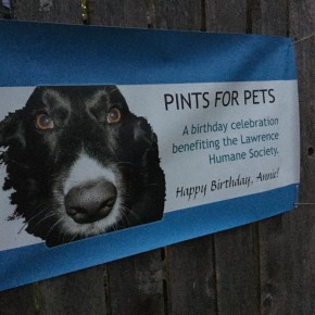 Pints for Pets